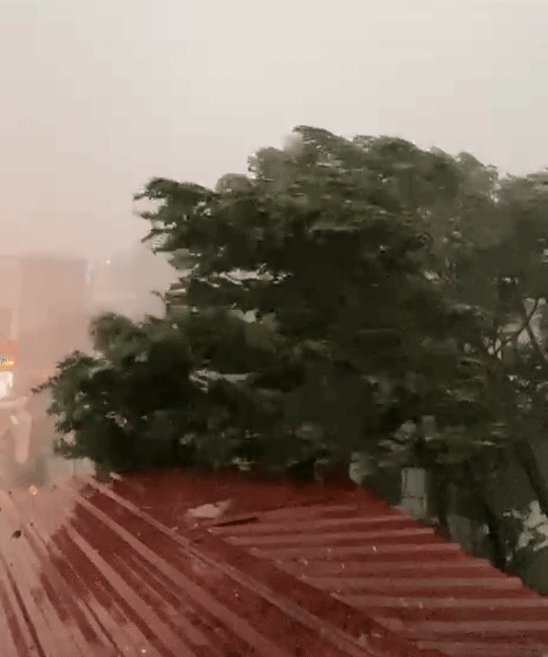 उत्तराखंडमध्ये बुधवारी दुपारनंतर अचानक हवामान बदलले. डेहराडूनमध्ये जोरदार वाऱ्यांसह संध्याकाळपर्यंत मुसळधार पाऊस झाला.