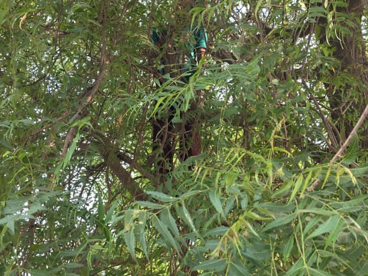 Gurugram Suicide Case | Girl Found Hanging From Tree in Nibot Village