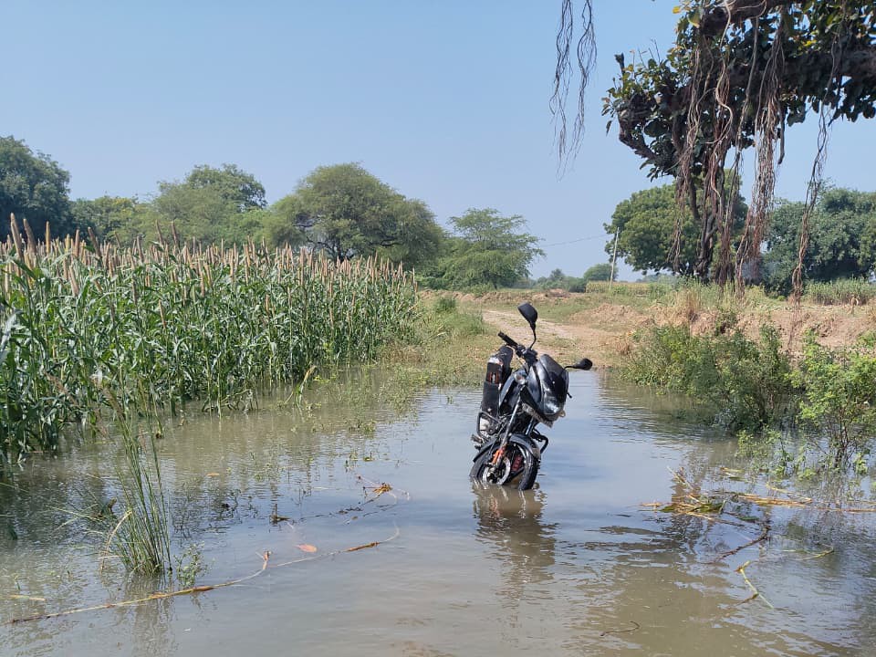 Esa Rind Kanpur Dehat News: Rind River Flood Damages Crops in Rasulabad