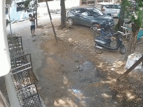 पीछे ने सांड ने हमला किया, बच्चा ऊछलकर सिर के बल सड़क पर गिरा।