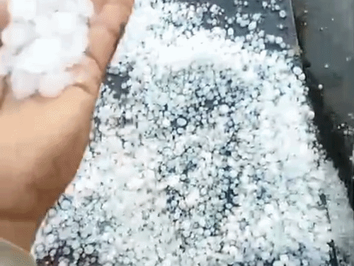 हाथ में ओले लेकर दिखाता व्यक्ति।