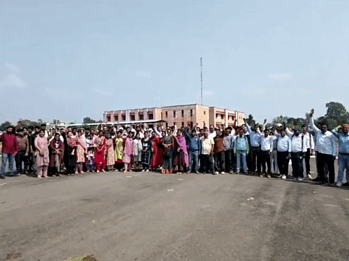 MP में कार्रवाई का विरोध, ऑनलाइन राजस्व काम बंद करेंगे पटवारी|भोपाल,Bhopal - Dainik Bhaskar