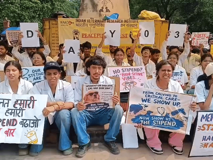 'मेहनत हमारी, मांग हमारी' लिखे नारों के साथ तीसरे दिन भी शांतिपूर्ण अनशन पर डटे भावी वेटरनरी डॉक्टर्स।