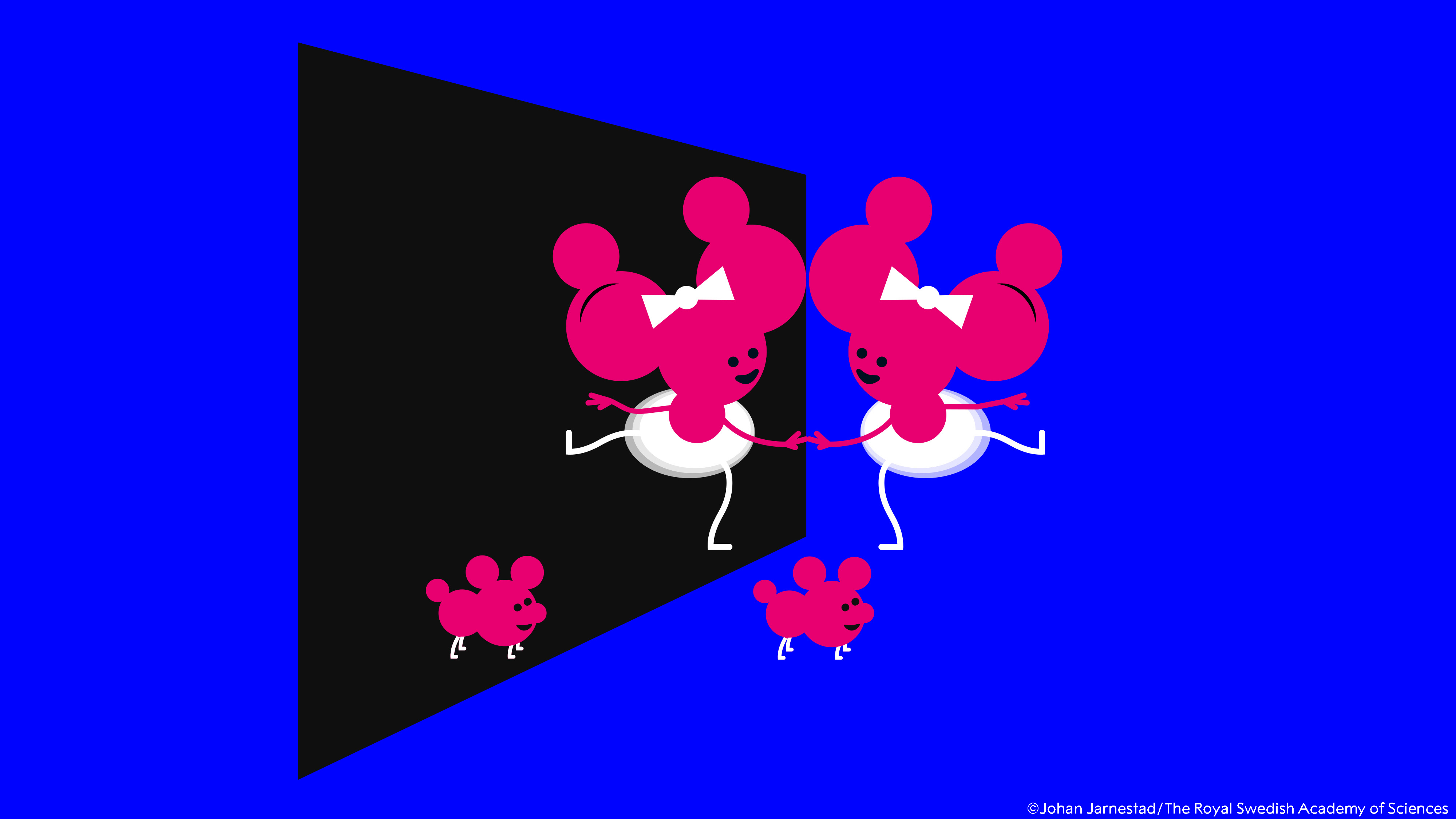 2026 Nobel Prize in Chemistry