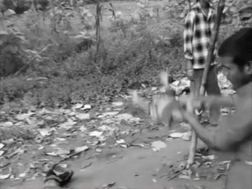 आरोपी श्रवण भगत बच्चों के दोनों पैरों को पकड़कर हवा में झुलाता है।