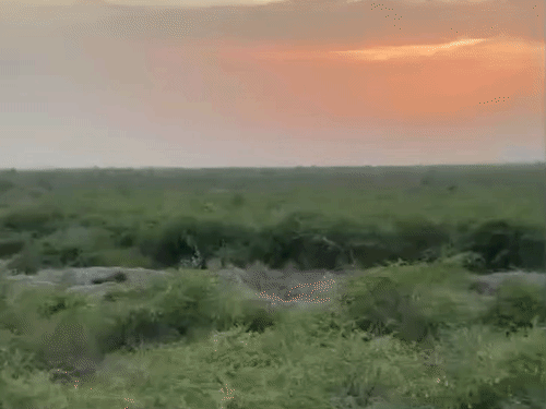 WRI की रिसर्च में बताया है कि शहरों में बढ़ती गर्मी और कंक्रीट का विस्तार चुनौती बन रहा है।