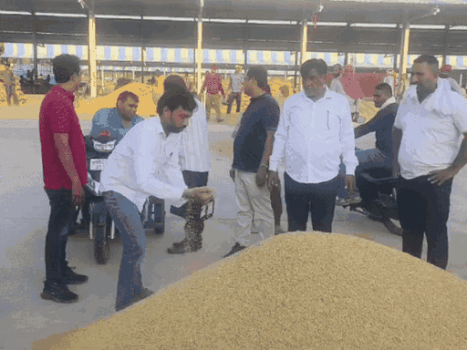 धान खरीद के दौरान नमी चेक करते हुए आढती।