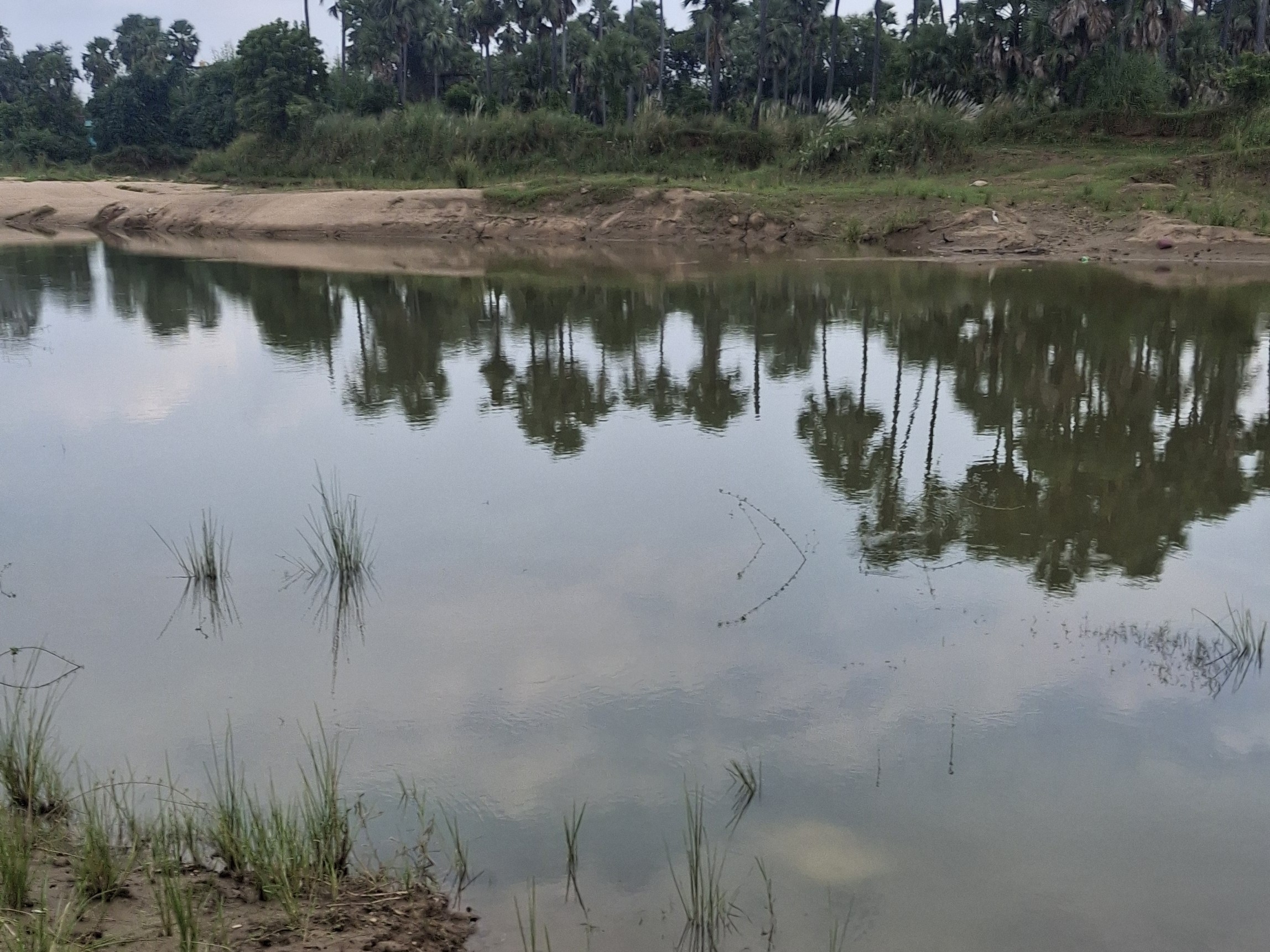 20 दिन पहले तबाही मचाने वाली नदी से ग्रामीणों को राहत, अब रबी फसल पर खतरा|दनियांवा,daniawan - Dainik Bhaskar