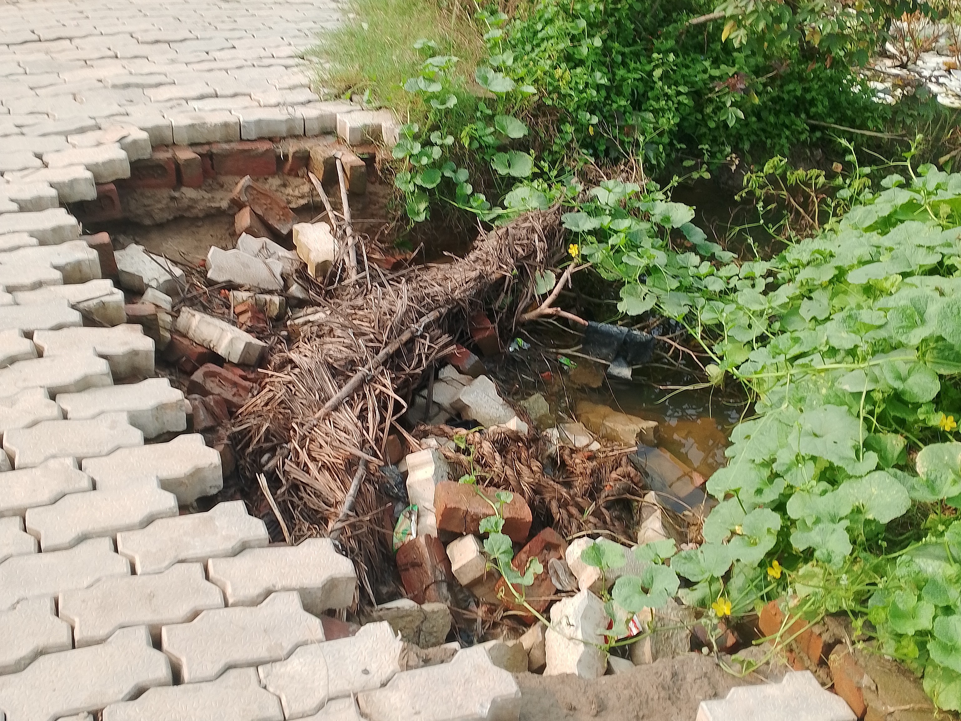 Salempur Road Damage | Massive Pothole Causes Trouble For Villagers