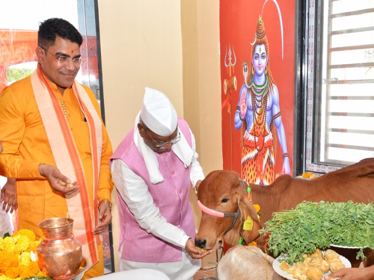 सदगुरू आश्रम के शुभारंभ के मौके पर नंदी को हरा चारा खिलाते राज्यपाल।
