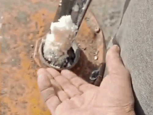 तस्वीर सोशल मीडिया पर सामने आए एक वीडियो से निकाली गई है, जिसमें दावा किया कि पशु चर्बी से नकली घी बनाया जा रहा था, लेकिन पुलिस ने इसकी पुष्टि से इनकार किया है।