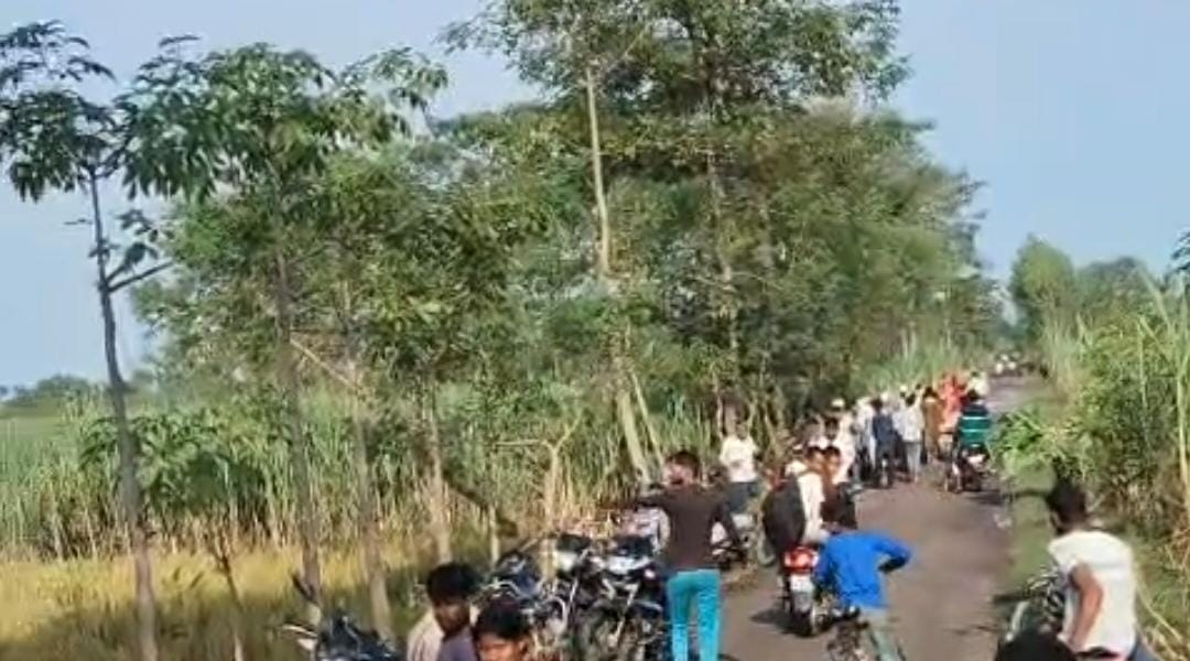 नेवला कोबरा के फन पर लगातार हमला करता रहा। गांववालों ने मोबाइल फोन में पूरी लड़ाई कैद कर ली।