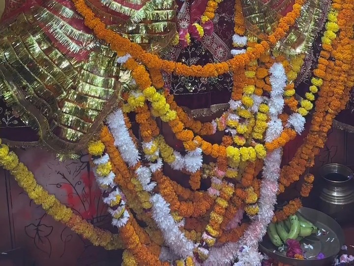 भक्तों ने किए माता के दर्शन।