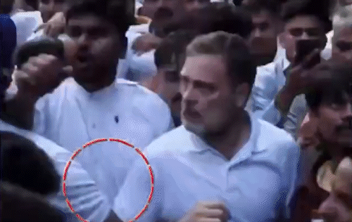 बीजेपी ने राहुल गांधी का वीडियो शेयर कर गुंडागर्दी करने का आरोप लगाया है।
