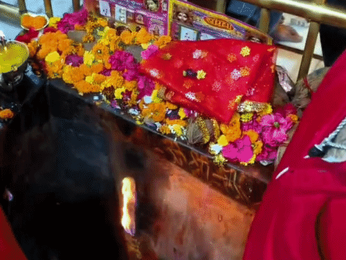 मां ज्वालाजी मंदिर में मां के दर्शन करते श्रद्धालु।