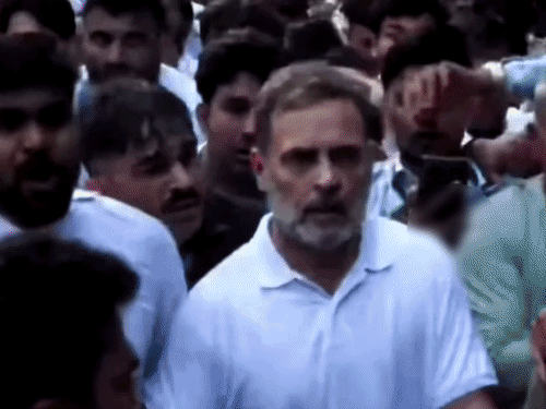 BJP ने X अकाउंट पर ये वीडियो शेयर किए हैं, जिसमें राहुल गांधी  कोहनी मारते और महिला पत्रकार को हटाते दिख रहे हैं। - Dainik Bhaskar