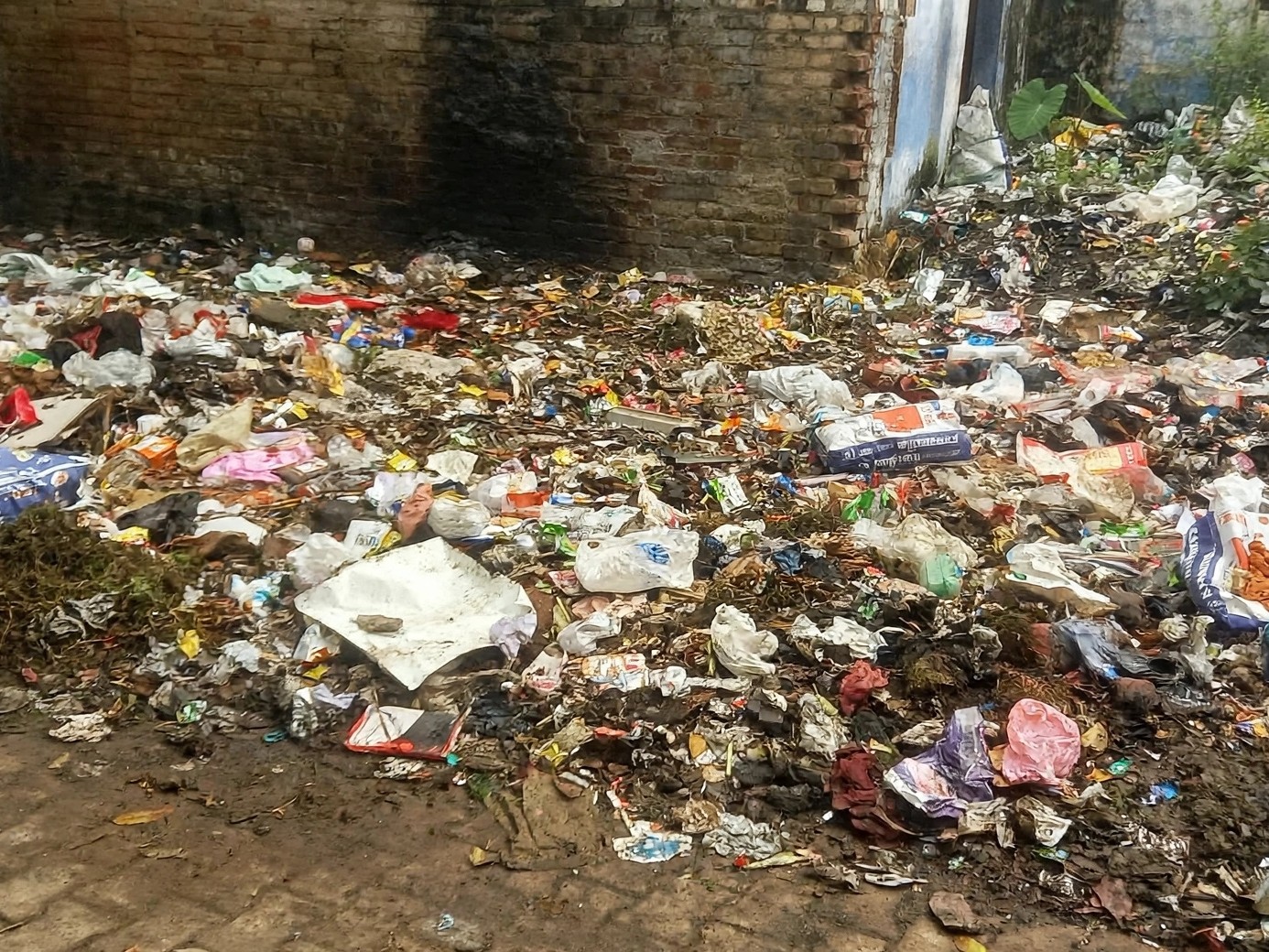 Moradabad News | Azad Nagar Garbage Crisis Health Hazard & Stray Animals