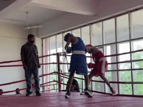 Kota University Boxing Accident | Ring Safety Controversy & Injury