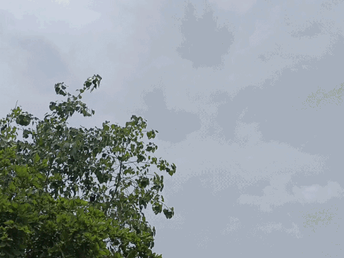 अगले दो दिन भी बरसात की संभावना, रात में तेज हवा चलने से तीन डिग्री गिरा तापमान|सीकर,Sikar - Dainik Bhaskar