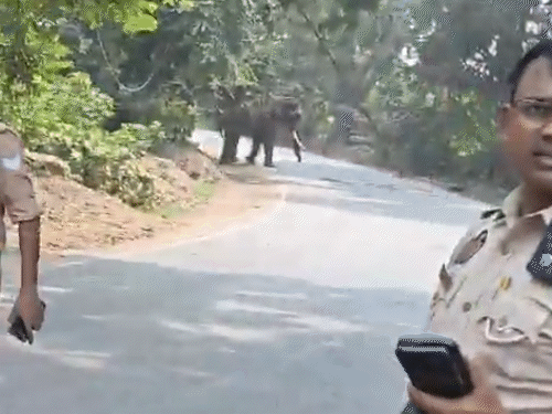 पुलिस ने आसपास के 2 किमी इलाके को सील कर दिया है। रास्ते ब्लॉक कर दिए हैं।