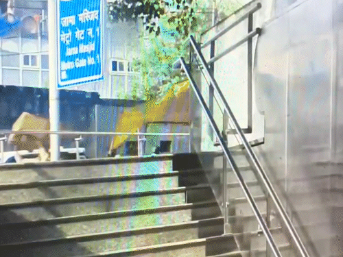 जामा मस्जिद मेट्रो गेट नंबर 1 के सामने जवान पहले पहुंचकर आरोपी को पकड़ लेता है।