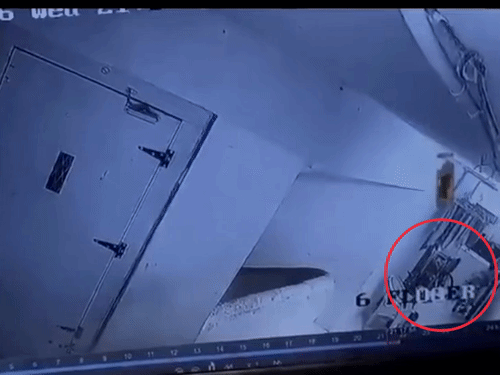 घटना के बाद आरोपी बच्ची CCTV में कॉरिडोर में साइकिल चलाते और मृत बच्ची के घर में जाते हुए भी दिखाई दी। उस वक्त परिवार बच्ची को तलाश रहा था।