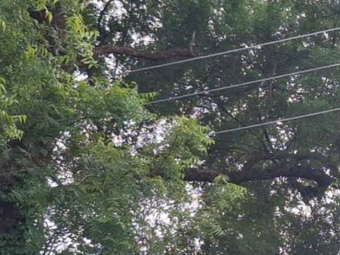 High Tension Wire Sparking In Deeh Bhanwa Kapurwa | Villagers At Risk