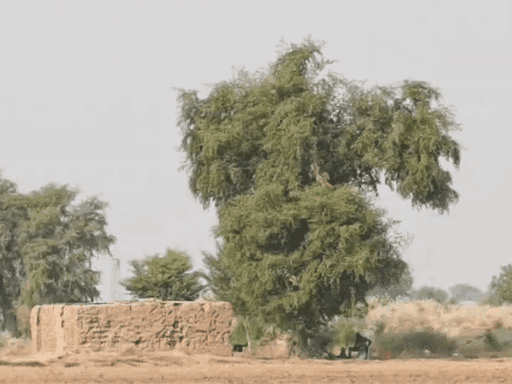 ड्रोन की मदद से इसी लोकेशन पर हथियार गिराए गए थे।