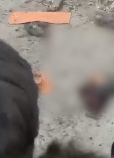 धमाके के बाद इलाके में अफरा-तफरी मच गई।