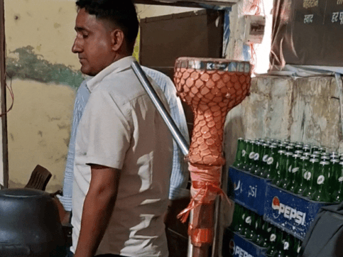 पुलिस ने कई जगह से सिगरेट और हुक्के जब्त किए।