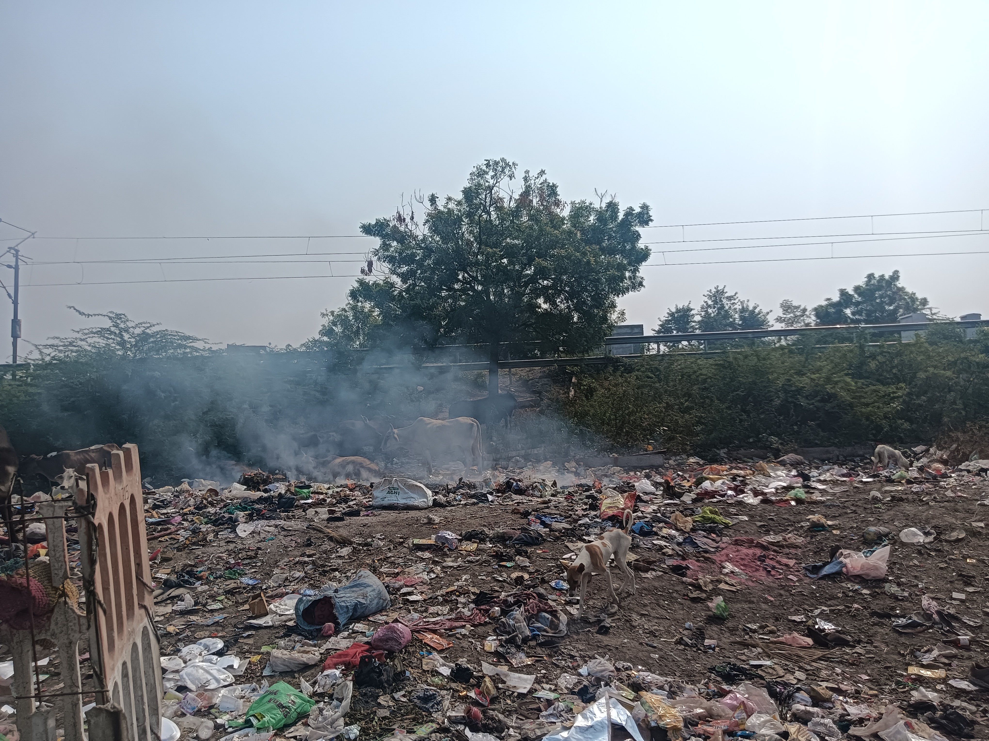 Rajnagar Ward 17 Garbage Fire | Residents Face Breathing Difficulties