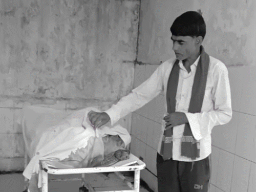 एक बाइक सवार युवक की मौत, दूसरा घायल, ट्रैक्टर चालक फरार, वाहन जब्त|पलामू,Palamu - Dainik Bhaskar