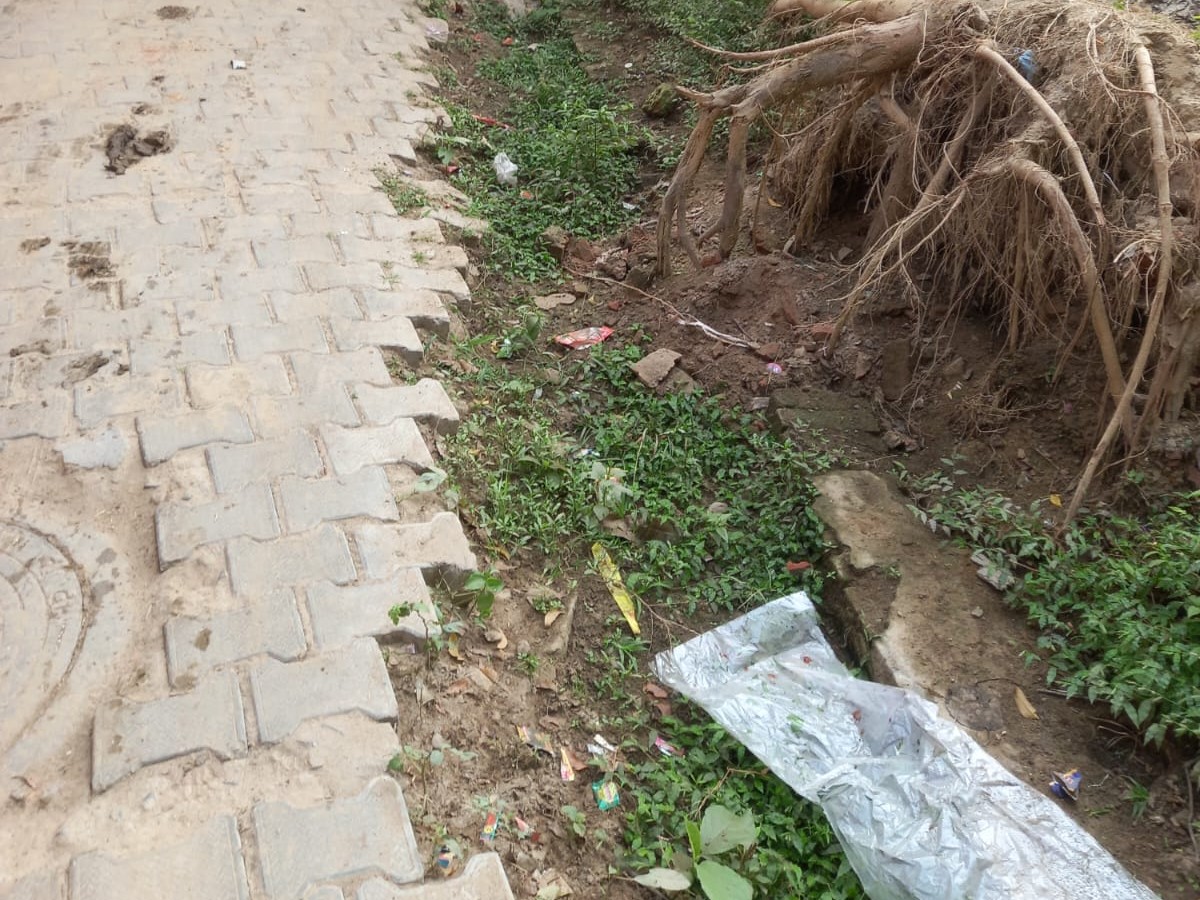 Ayodhya News | Nishad Raj Ward Bande Ali Chhavani Road Drain Damage