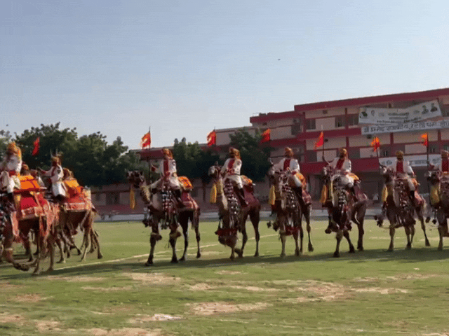 महोत्सव में बीएसएफ के ऊंट दस्ते ने भी करतब दिखाए।