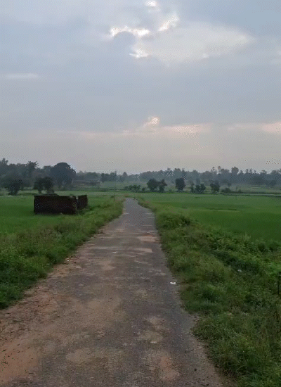 26 अक्टूबर की सुबह तक यह चक्रवाती तूफान का रूप ले सकता है।