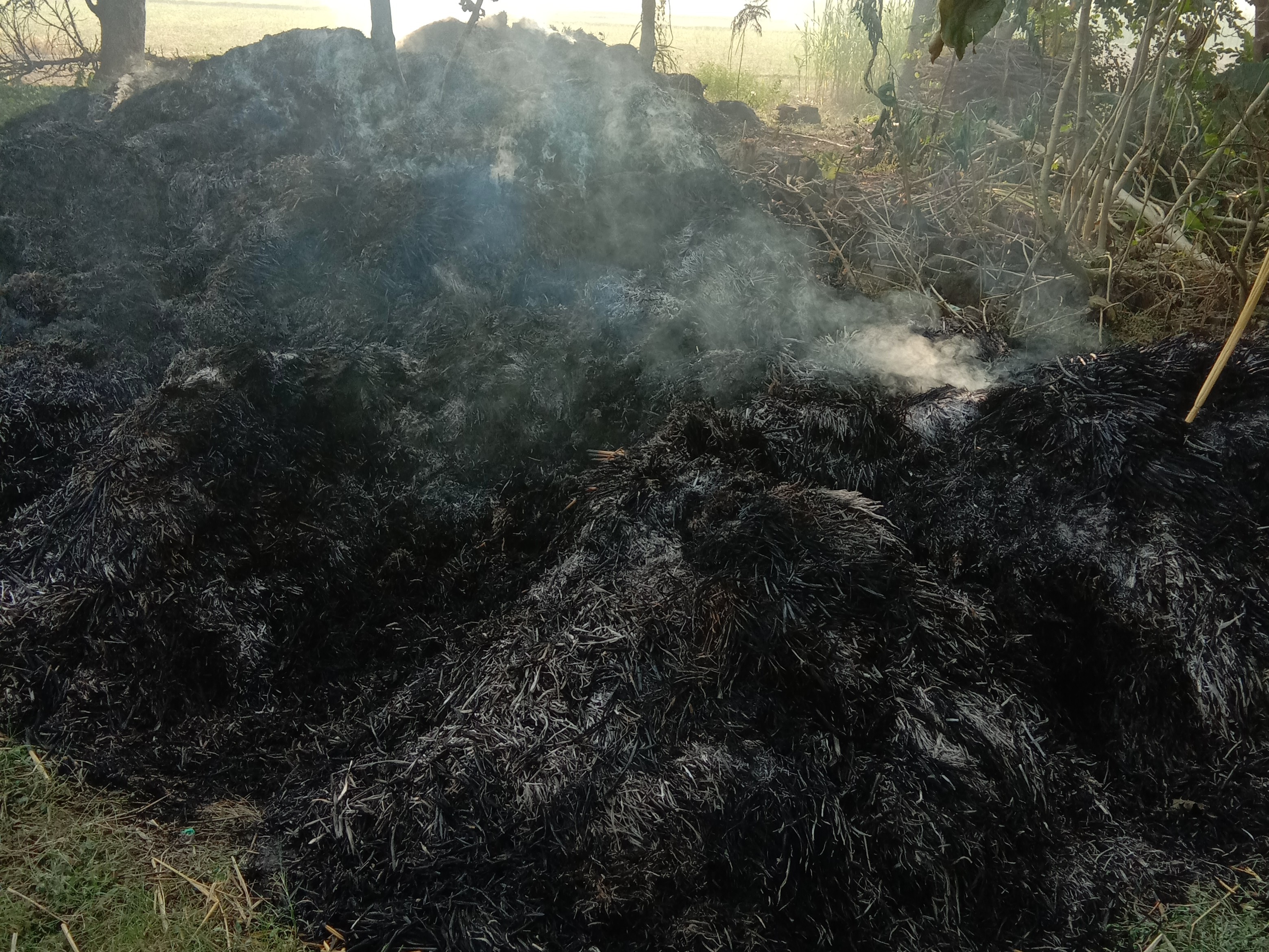Prayagraj Nayapura Fire | Standing Crops Straw Burnt Farmers Worried