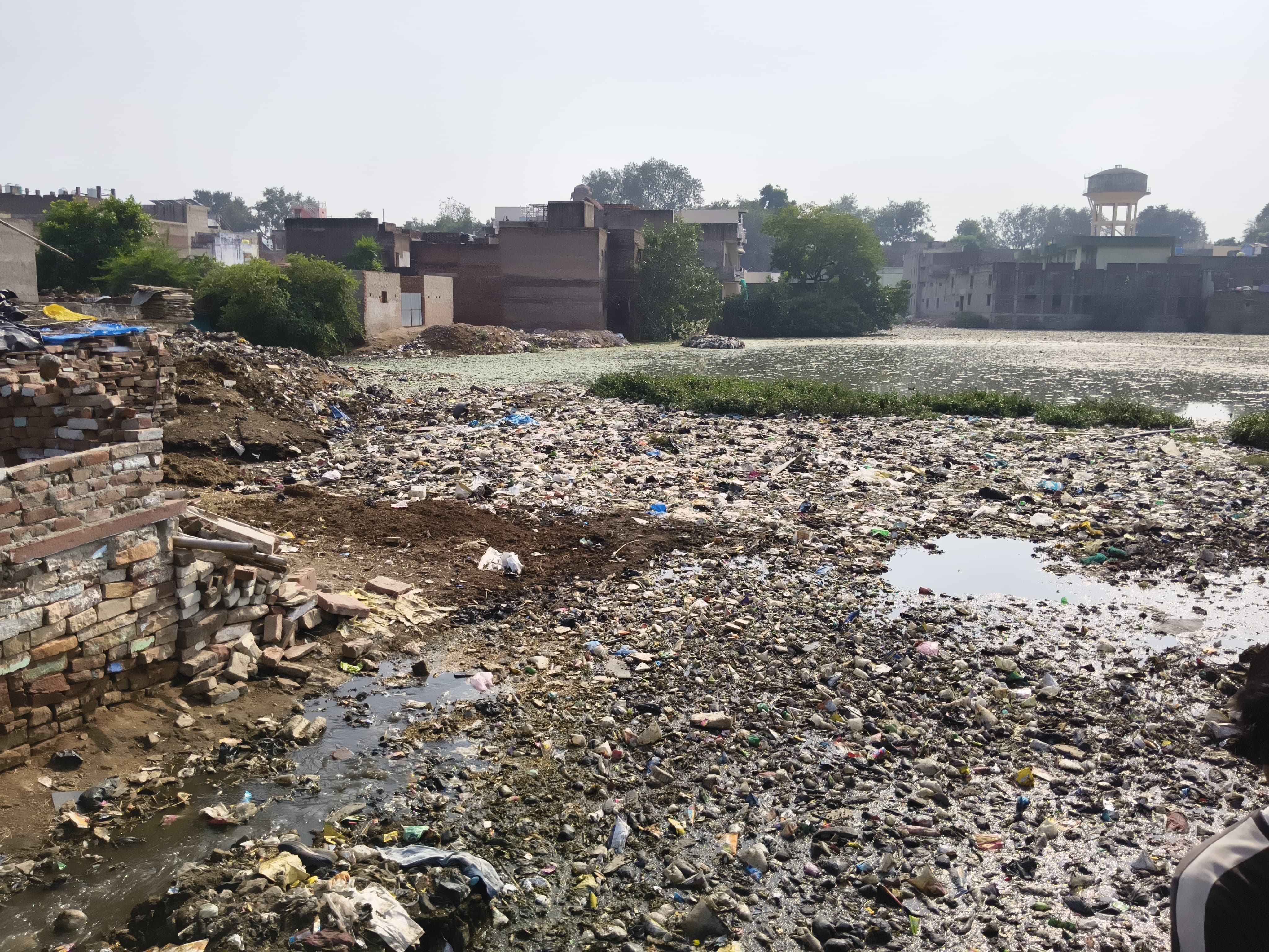 Bari Nagar Palika Sewage Pond Cleaning | Park Construction Project