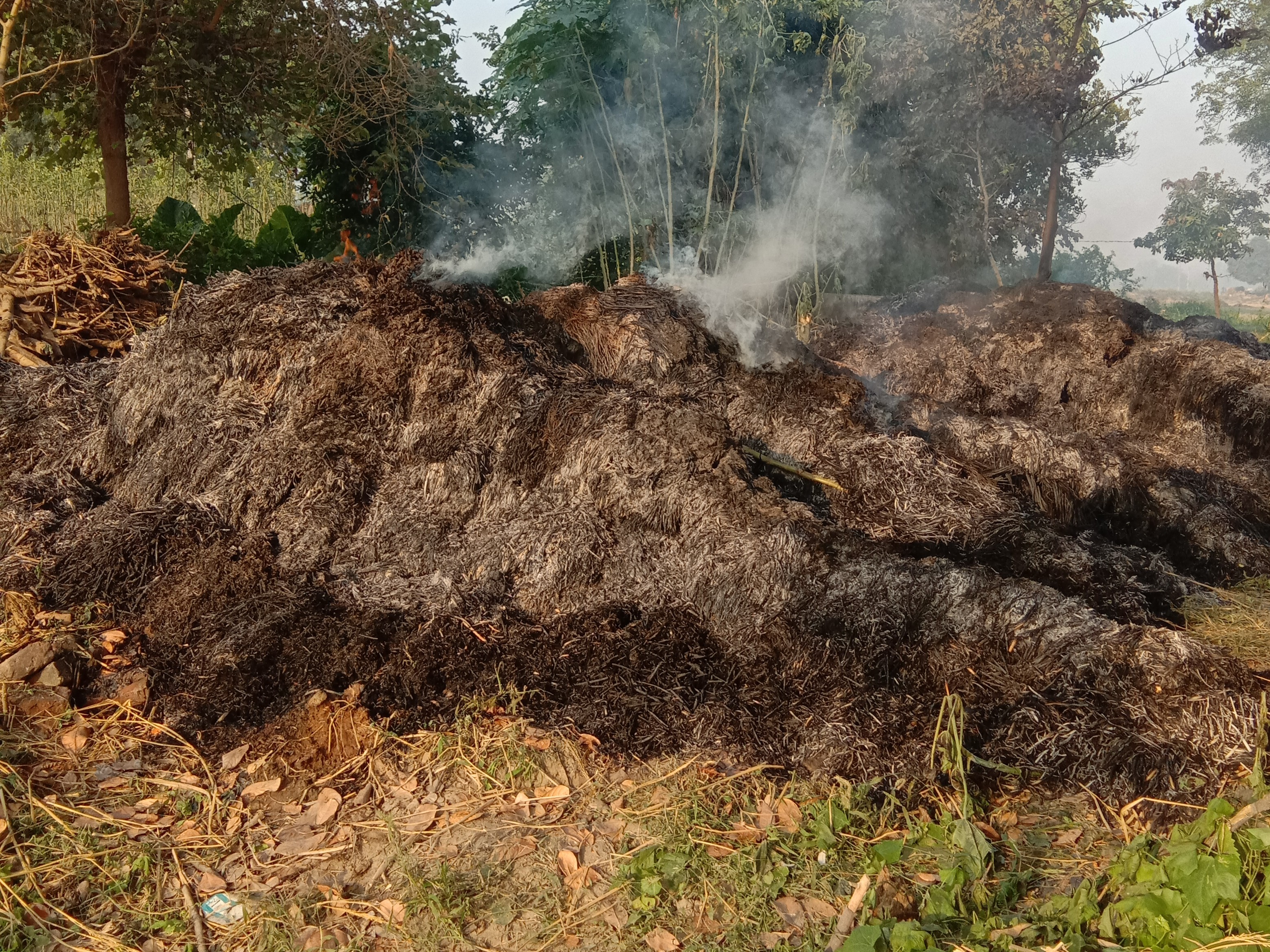 Prayagraj Nayapura Fire | Standing Crops Straw Burnt Farmers Worried