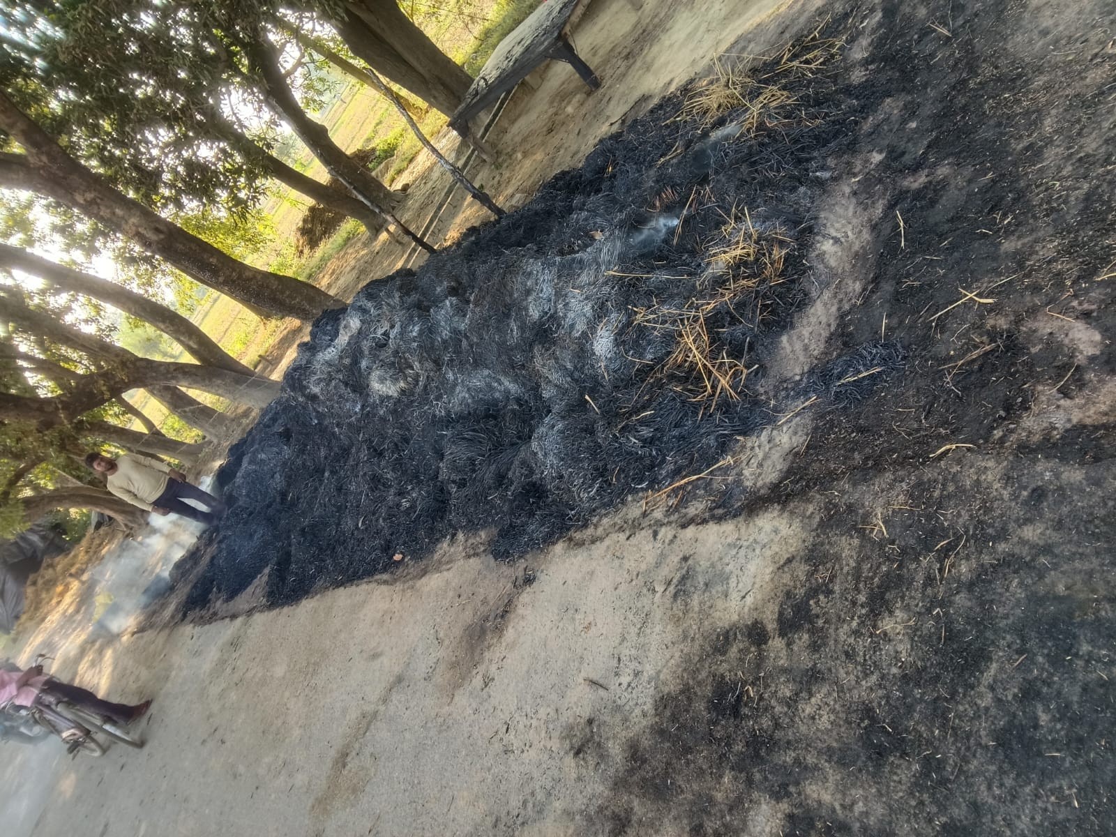 Budaun Bilsi Fire: Paddy Straw Burnt in Rampura Ainuddin, Farmer Loss