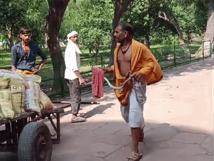 सुंदर पहलवान ने सांप को पकड़ लिया।