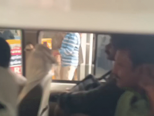 अनबिल महेश को सोमवार दोपहर चेन्नई पुलिस की क्राइम ब्रांच टीम ने अरेस्ट किया।