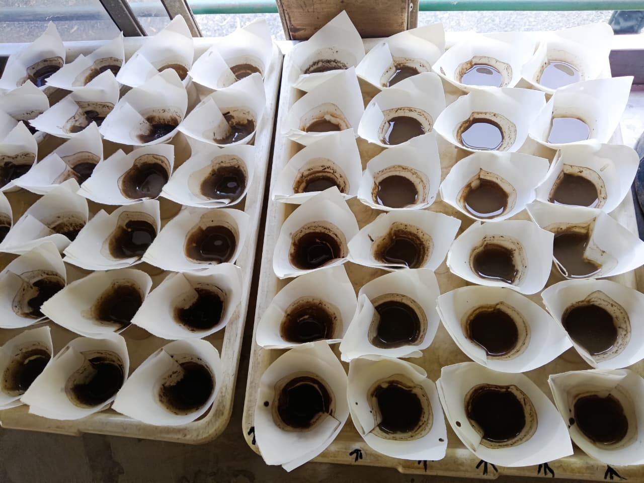 Stubble burning is reducing organic carbon, and all samples tested by ...