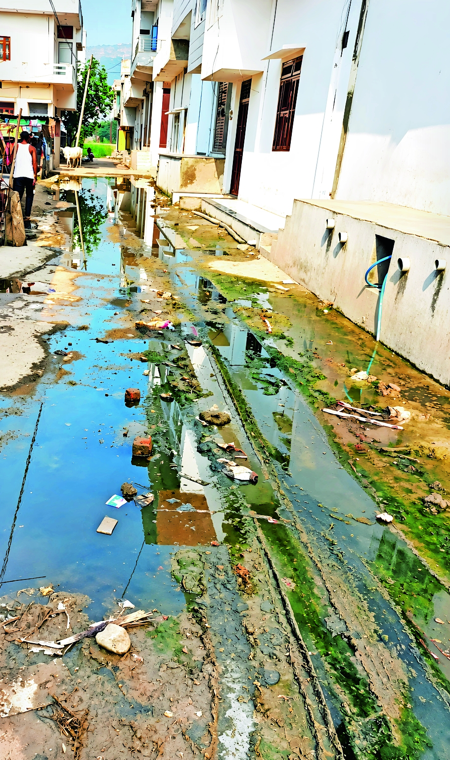 Dirty water is spreading in Chhapar Colony, people are angry
