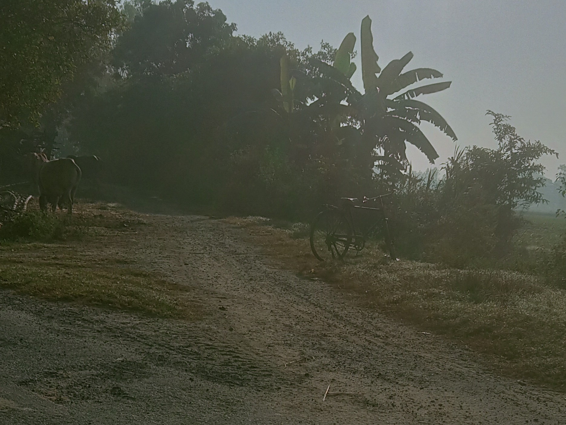 Hardoi Road Connectivity Issues | Atwa Ali Mardan Pur Village Problems