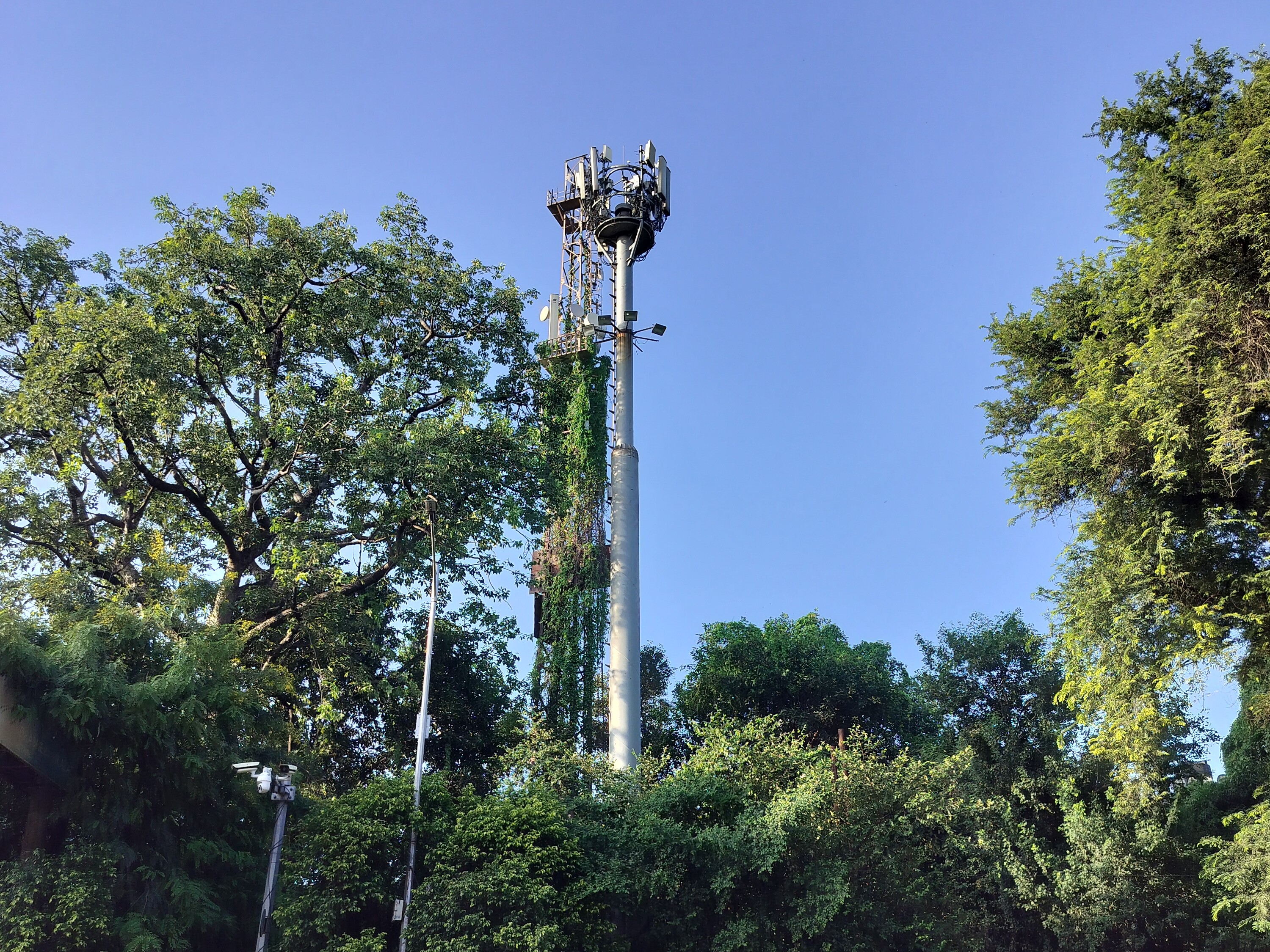 Chandrashekhar Azad Gate Semi High Mast Light Repair Demand | News