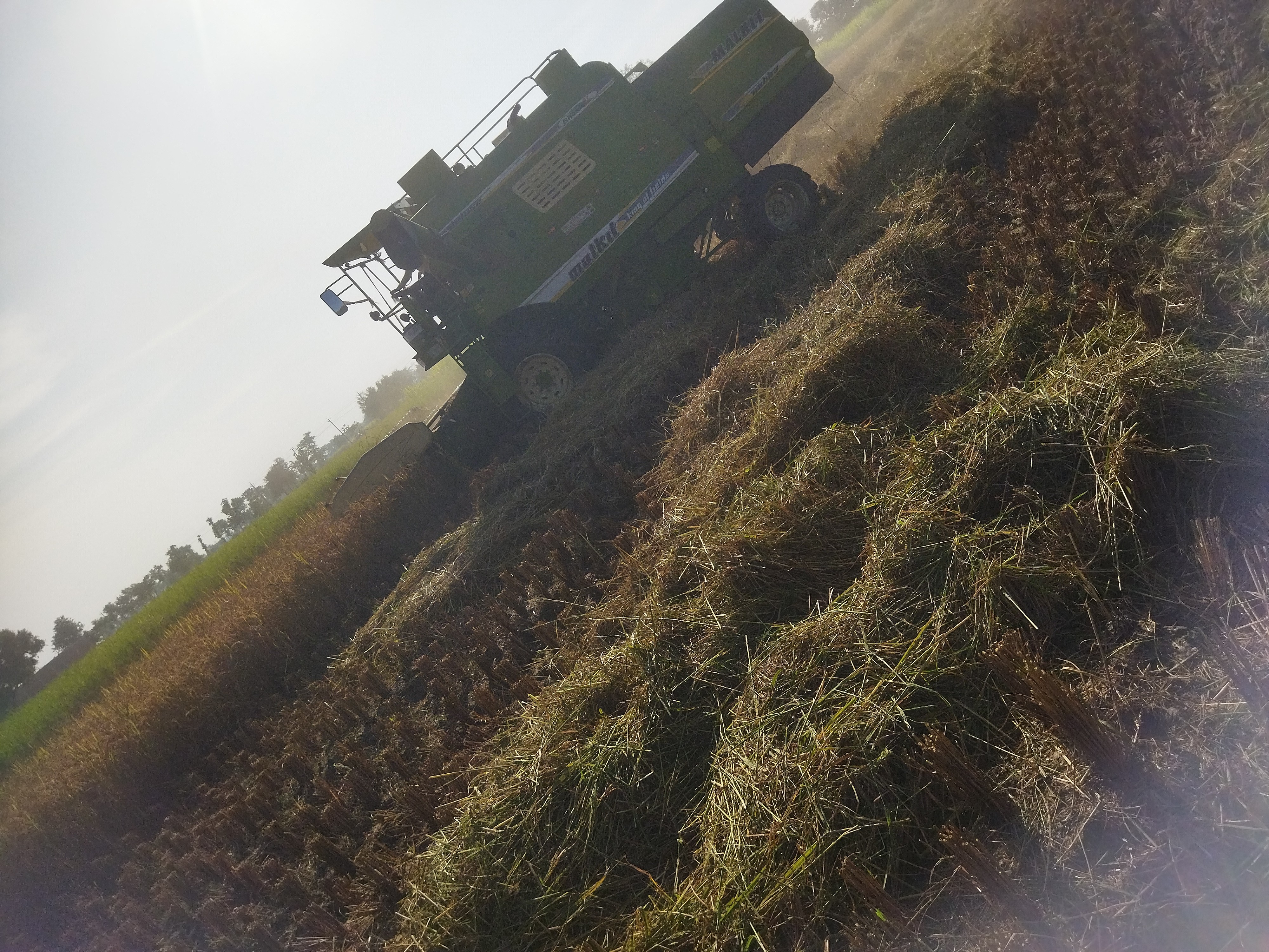 Sukrauli Paddy Harvest Crisis | Farmers Struggle With Combine Machines