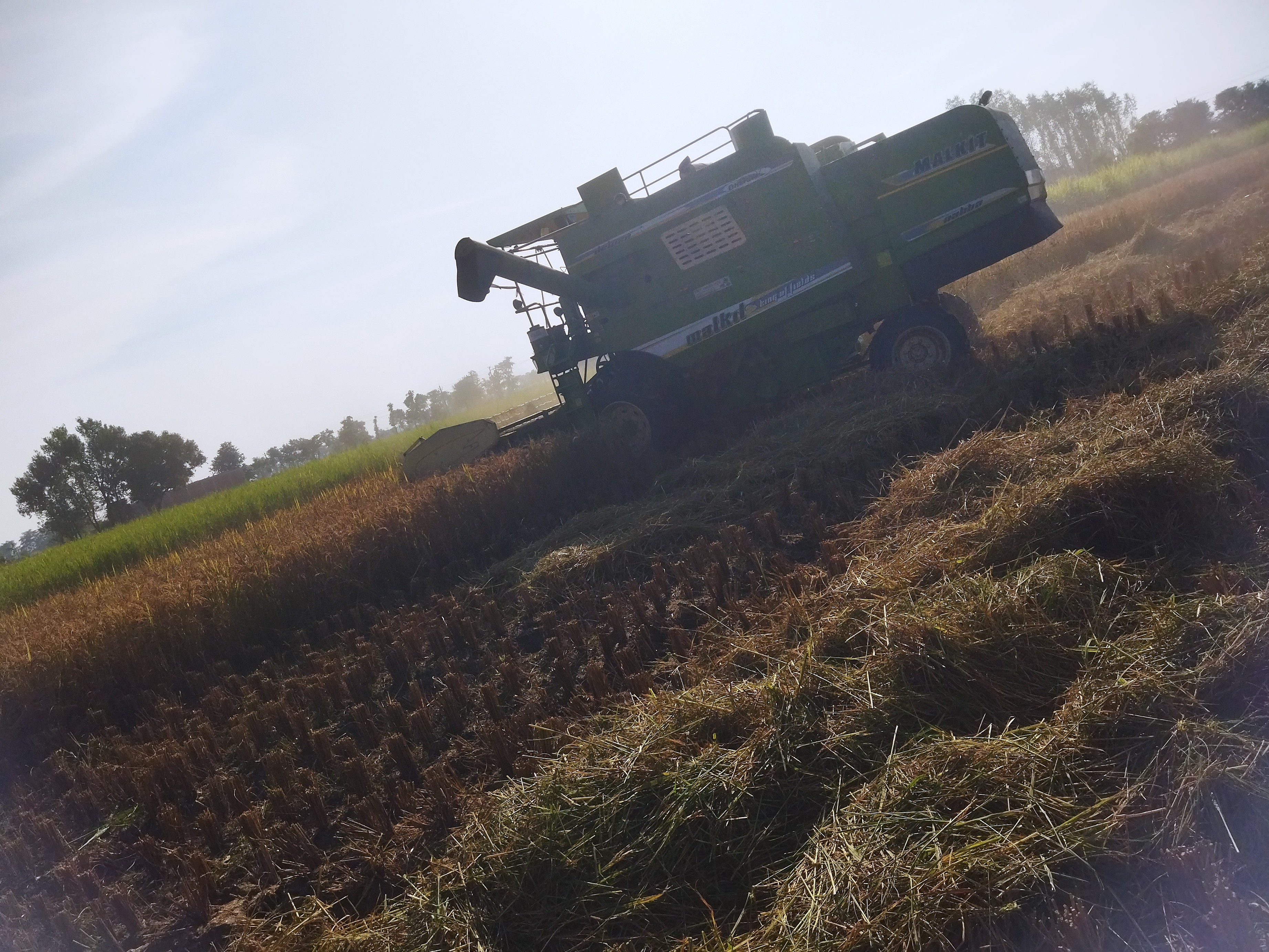 Sukrauli Paddy Harvest Crisis | Farmers Struggle With Combine Machines