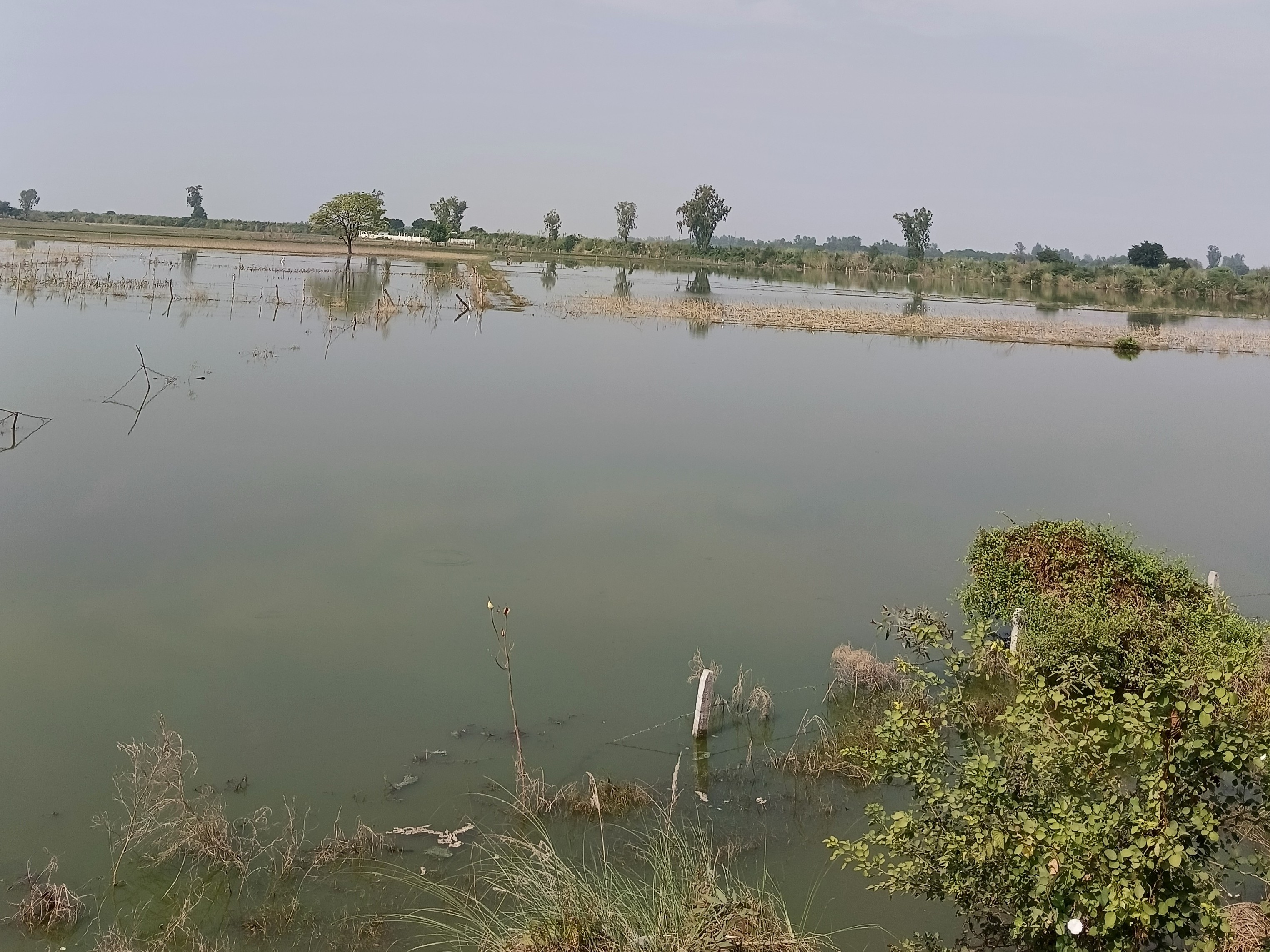 Rajepur Farrukhabad News | Ramganga Water Level Rises, Dabri Village ...