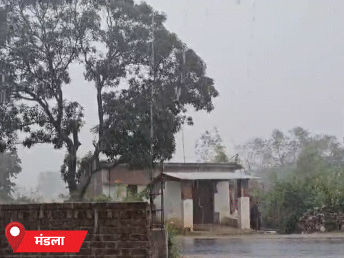 मंडला में बुधवार शाम तेज हवाओं के साथ बारिश हुई। बिछिया, घुघरी समेत कई इलाकों में बारिश से मौसम बदला। मौसम विभाग ने गुरुवार को अतिभारी बारिश, बिजली गिरने की चेतावनी दी है।