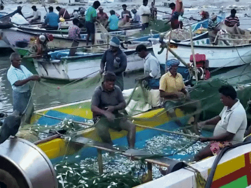 तमिलनाडु के थूथुकुडी में मछुआरे गुरुवार को लगातार चौथे दिन समुद्र में नहीं उतरे।